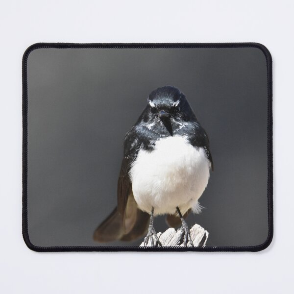 Item preview, Bird designed and sold by Baldphotography.