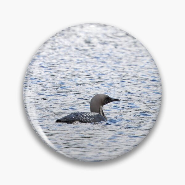 Item preview, Black-throated loon lakescape designed and sold by Jouko Lehto Photography.