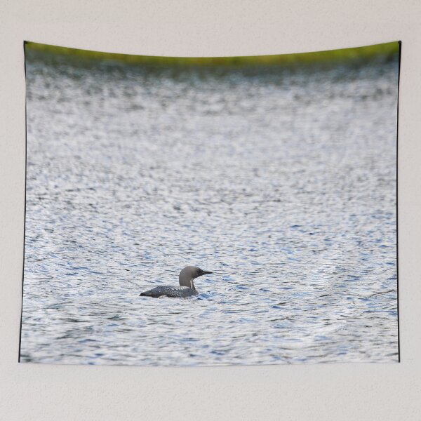 Item preview, Black-throated loon lakescape designed and sold by Jouko Lehto Photography.