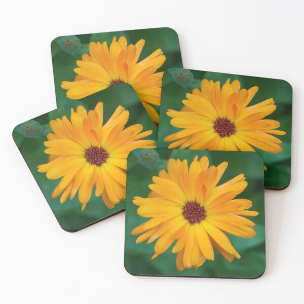 Item preview, Pot marigold Orange designed and sold by Jouko Lehto Photography.