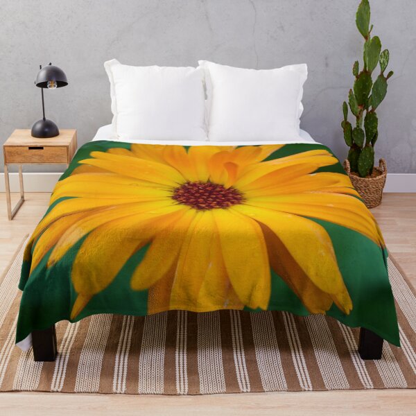 Item preview, Pot marigold Orange designed and sold by Jouko Lehto Photography.