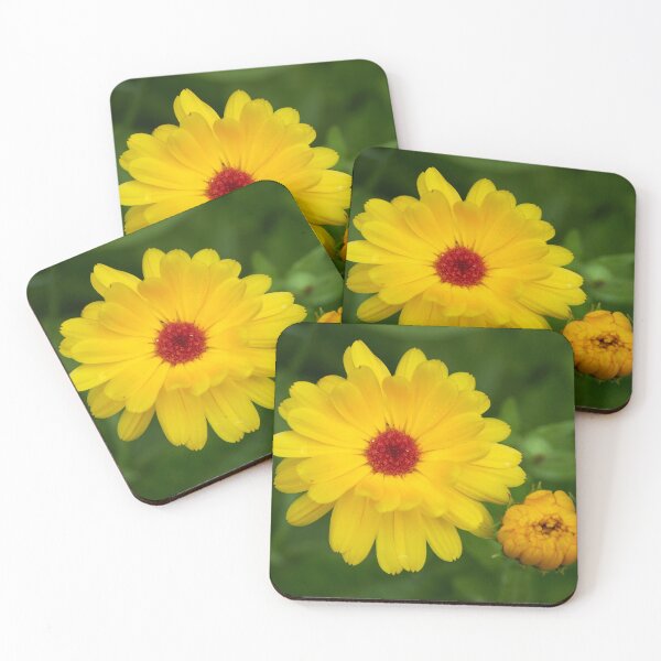 Item preview, Pot marigold Yellow designed and sold by Jouko Lehto Photography.
