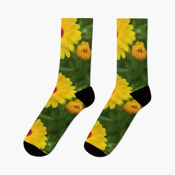 Item preview, Pot marigold Yellow designed and sold by Jouko Lehto Photography.