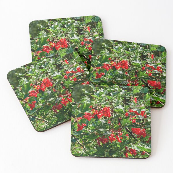 Item preview, Delicates. Red currant designed and sold by Jouko Lehto Photography.