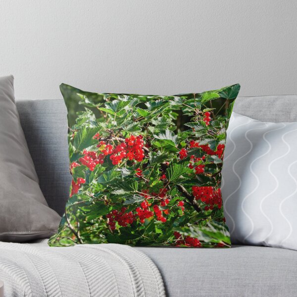 Item preview, Delicates. Red currant designed and sold by Jouko Lehto Photography.