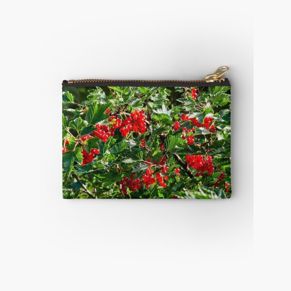 Item preview, Delicates. Red currant designed and sold by Jouko Lehto Photography.