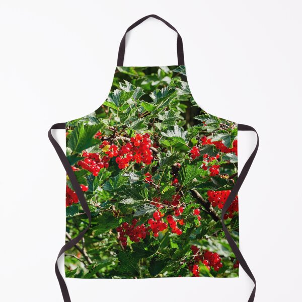 Item preview, Delicates. Red currant designed and sold by Jouko Lehto Photography.
