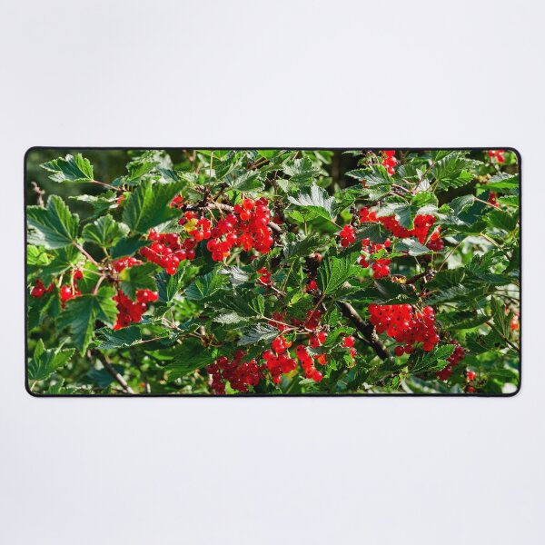 Item preview, Delicates. Red currant designed and sold by Jouko Lehto Photography.