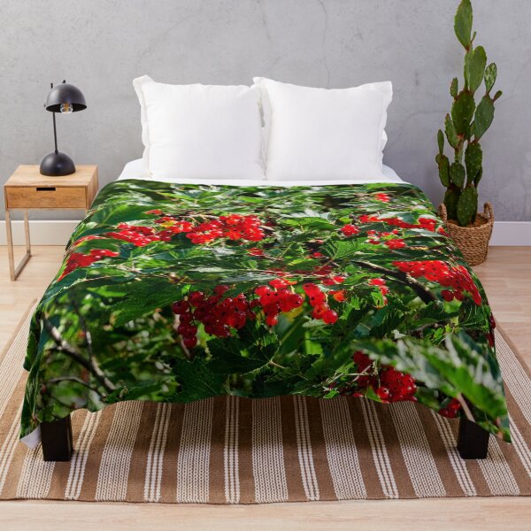 Item preview, Delicates. Red currant designed and sold by Jouko Lehto Photography.
