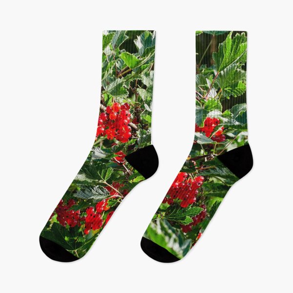 Item preview, Delicates. Red currant designed and sold by Jouko Lehto Photography.