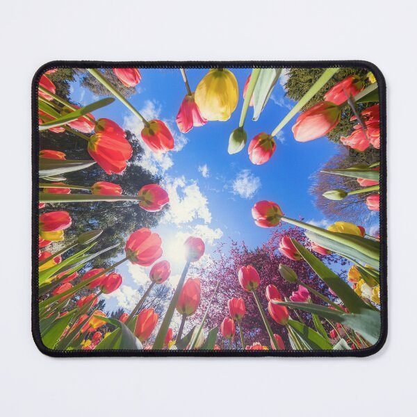 Item preview, Circle of Tulips designed and sold by yolanda.
