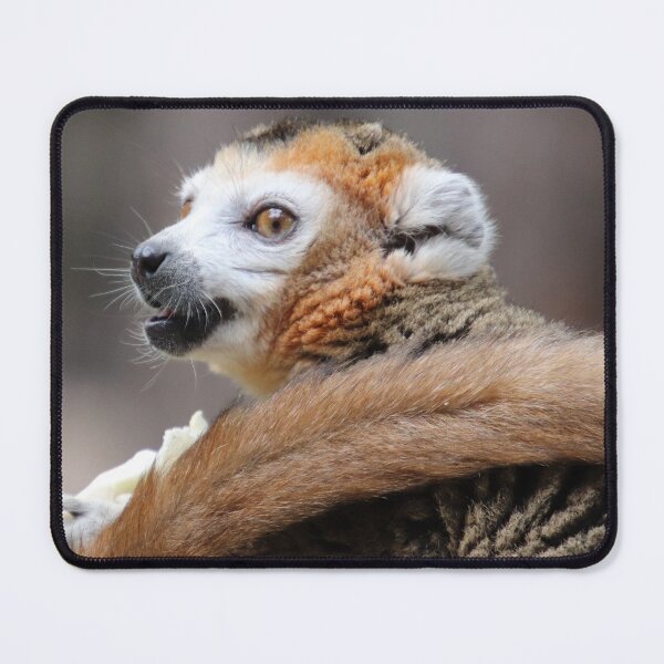Item preview, The Sly Eye designed and sold by Ladymoose.
