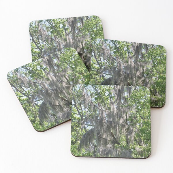 Item preview, Mossy Trees in USA designed and sold by AnnDixon.