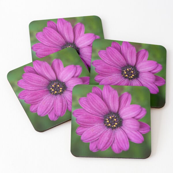 Item preview, African Daisy designed and sold by Ruth Jolly.