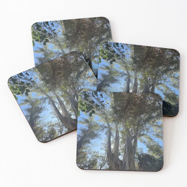 Item preview, Eucalyptus Grove designed and sold by Ruth Jolly.