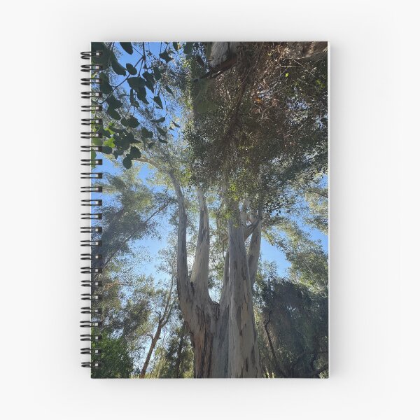 Item preview, Eucalyptus Grove designed and sold by Ruth Jolly.