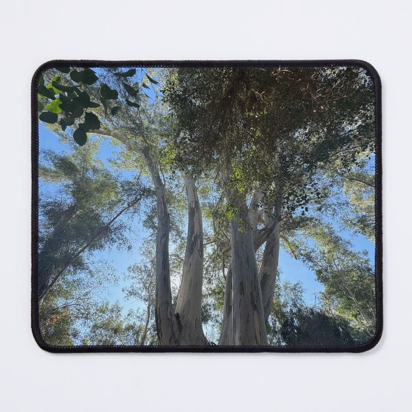 Item preview, Eucalyptus Grove designed and sold by Ruth Jolly.