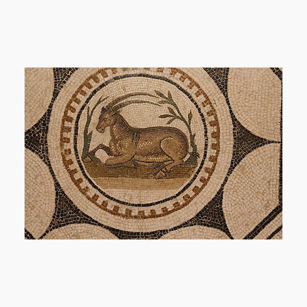 Item preview, Roman Mosaic El Jem Tunisia designed and sold by eddiebarronshop.