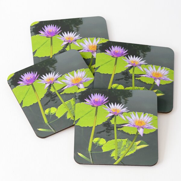Item preview, Rhonda Kay Water Lily designed and sold by Ruth Jolly.