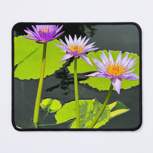 Item preview, Rhonda Kay Water Lily designed and sold by Ruth Jolly.