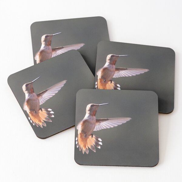 Item preview, Sunlight hits a Rufous hummigbird designed and sold by Ruth Jolly.