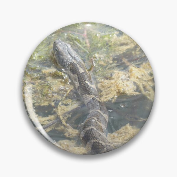 Item preview, Northern Water Snake designed and sold by JaimeWinchester.