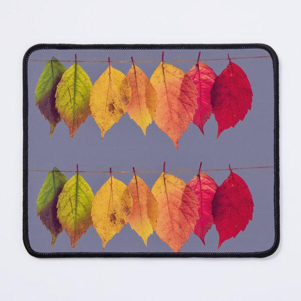 Item preview, Autumn leaves lined up designed and sold by AnnabellaRh.