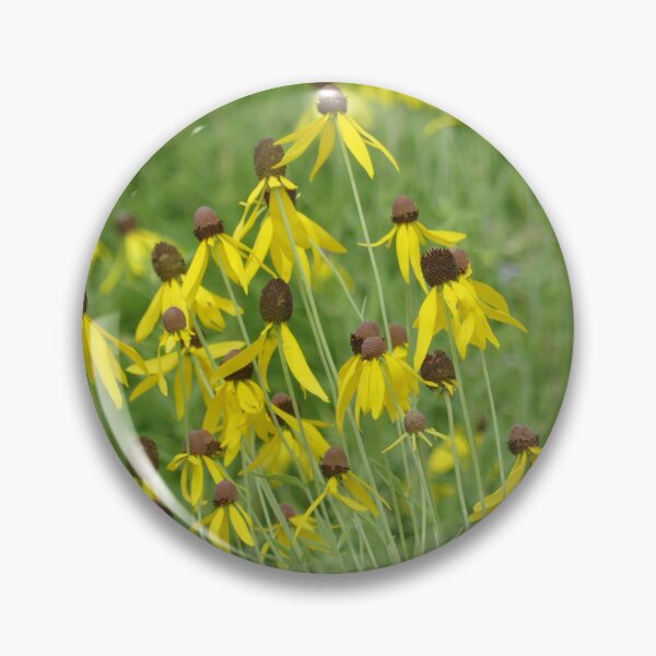Item preview, Gray Headed Coneflowers designed and sold by JaimeWinchester.