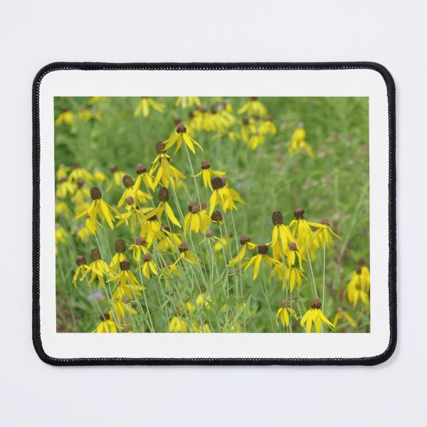 Item preview, Gray Headed Coneflowers designed and sold by JaimeWinchester.