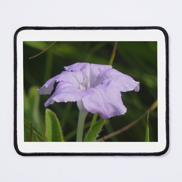 Item preview, Wild Petunia designed and sold by JaimeWinchester.