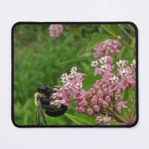 Item preview, Bee on Pink Flowers designed and sold by JaimeWinchester.