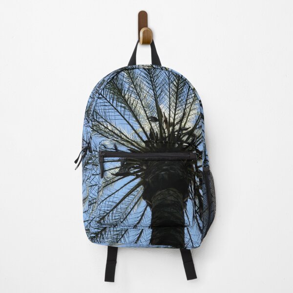 Item preview, Palm tree, upward view, Cordoba square designed and sold by paulboizot.