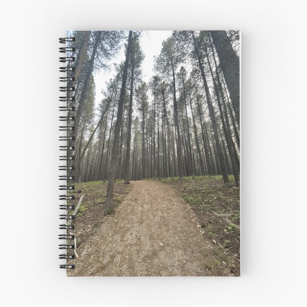 Item preview, Walking path through boreal forest  designed and sold by Pasqua-Prints.