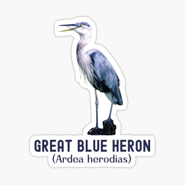Item preview, Lone Great Blue Heron (Ardea herodias) designed and sold by AppletonWater.