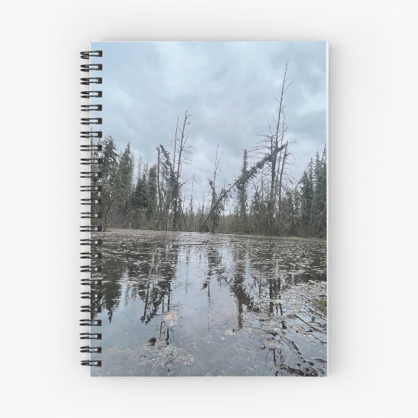 Item preview, Boreal forest reflection on the water designed and sold by Pasqua-Prints.