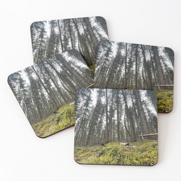 Item preview, Boreal forest floor  designed and sold by Pasqua-Prints.