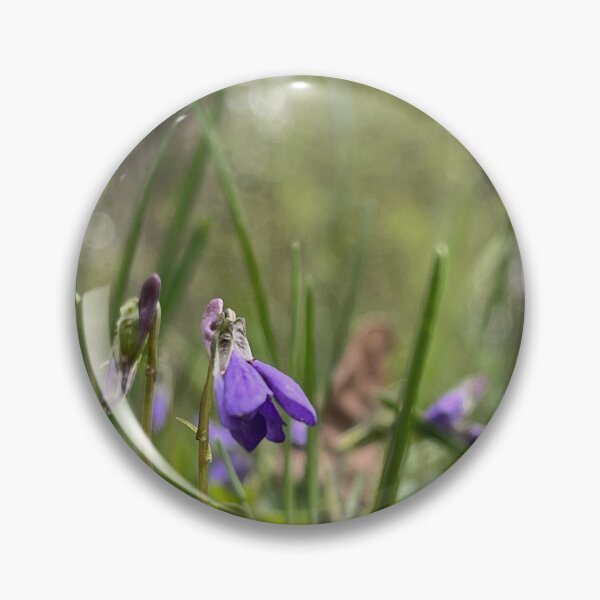 Item preview, Boreal forest bluebell designed and sold by Pasqua-Prints.