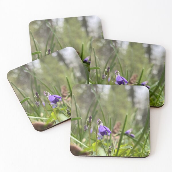 Item preview, Boreal forest bluebell designed and sold by Pasqua-Prints.