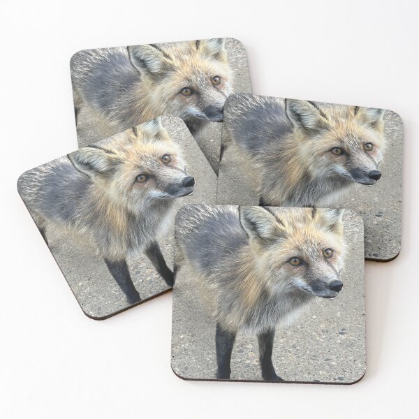 Item preview, fox in the forest  designed and sold by Pasqua-Prints.