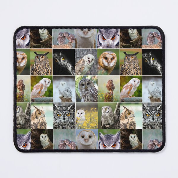 Item preview, Owl Photo Collage designed and sold by ColorfulPrints.