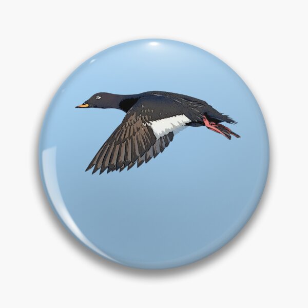 Item preview, Velvet Scoter Color Design  designed and sold by designsasstultd.