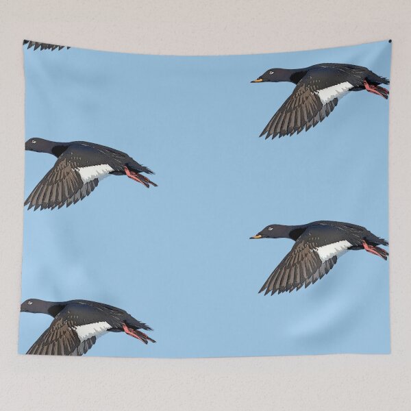 Item preview, Velvet Scoter Color Design  designed and sold by designsasstultd.