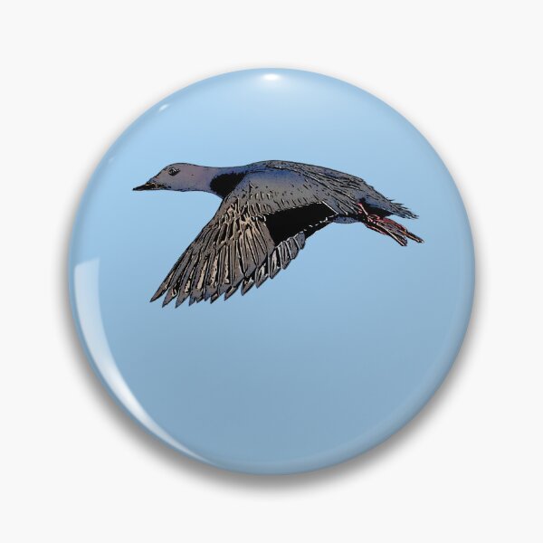 Item preview, Velvet Scoter Black Alternate Design  designed and sold by designsasstultd.