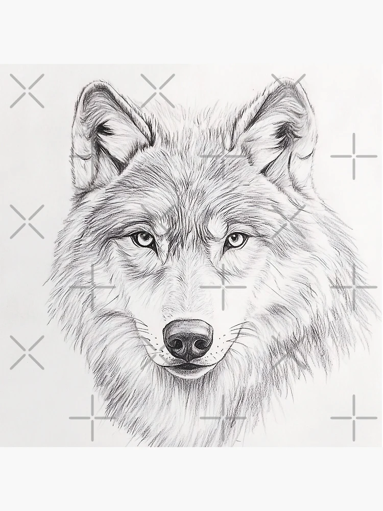 flat,750x,075,f-pad,750x1000,