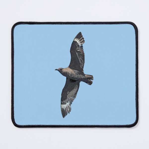 Item preview, South Polar Skua Color Design designed and sold by designsasstultd.