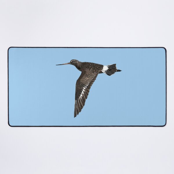 Item preview, Hudsonian Godwit Color Design  designed and sold by designsasstultd.