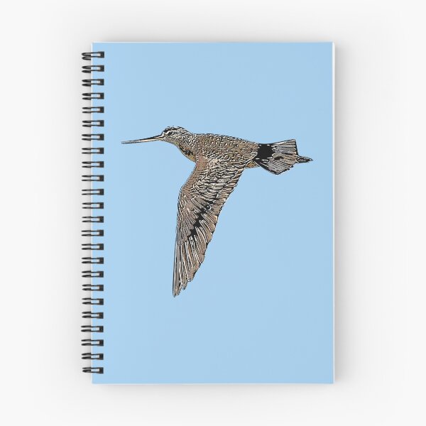 Item preview, Hudsonian Godwit Black Alternate Design  designed and sold by designsasstultd.