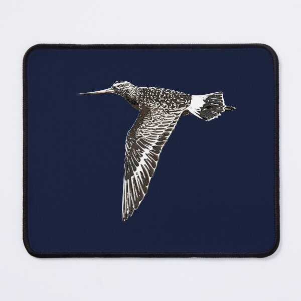 Item preview, Hudsonian Godwit White Alternate Design  designed and sold by designsasstultd.