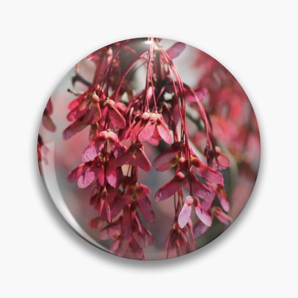 Item preview, Maple Seeds Galore designed and sold by ssmathers.