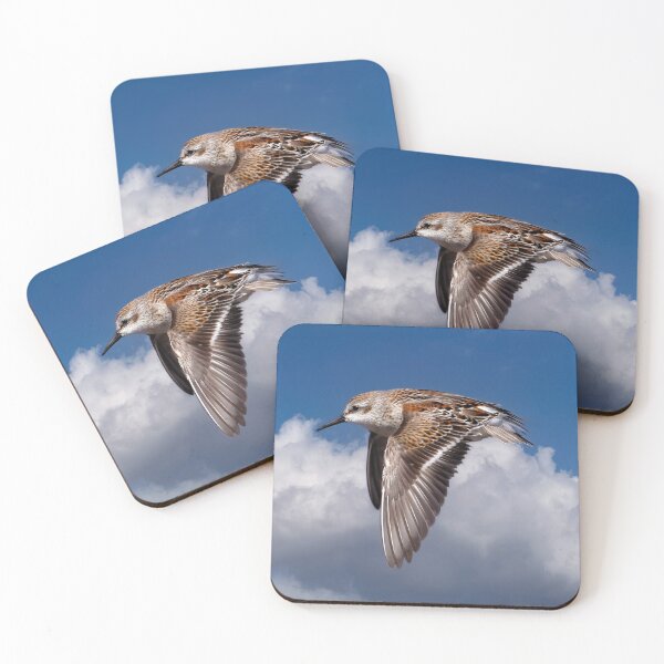 Item preview, Andarríos en vuelo designed and sold by Tom McPherson Photography.